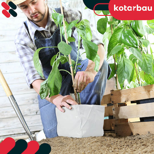 Planting Bag Coconut Substrate Tomatoes Peppers Cucumbers 20 X 20 X 18 Cm