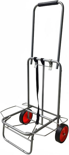 Cărucior de Cumpărături Pliabil 100x34x44 Cm 35 Kg Gri