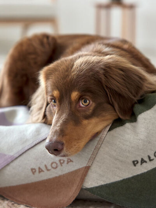 Palopa Hundebettdecke