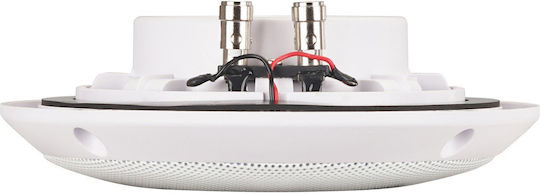 Artsound Mdc6.2 W Ceiling Marine Speakers Ip66 5.25” White Pair