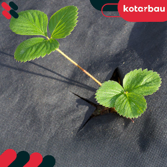 Kotarbau Ύφασμα Εδαφοκάλυψης 70gr/m² 3.2x2m Μαύρο