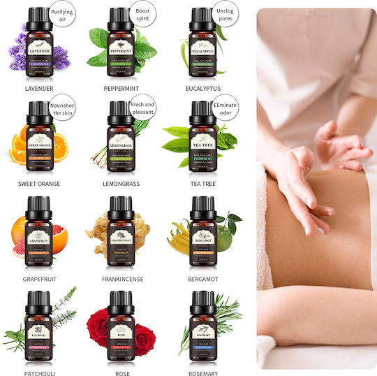 Set of 12 Essential Oils 12x10ml 100% Pure