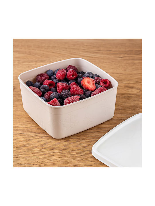Orion Cutie De Prânz Din Plastic Bej 650ml