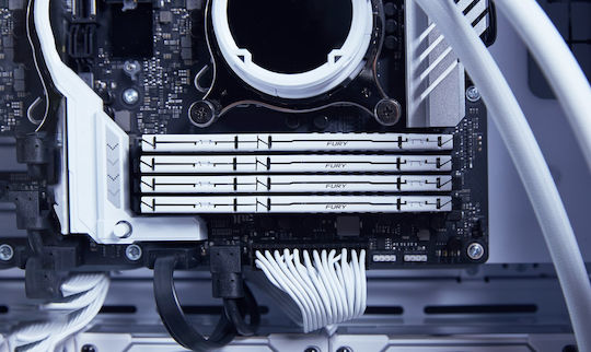 PNY Performance Bulk DDR5 with Module 1x16GB and Speed 5600 for Desktop