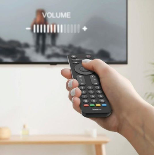 HAMA Universal Remote Control In 1 for TVs 4047443532282