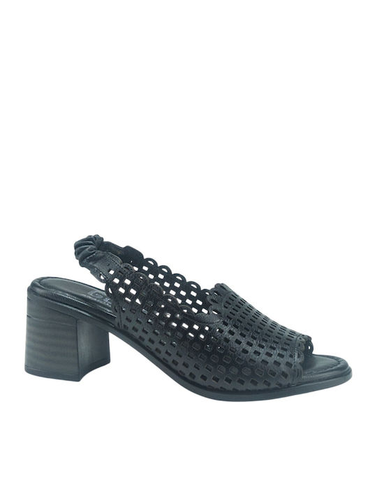 Gotsi Anatomic
