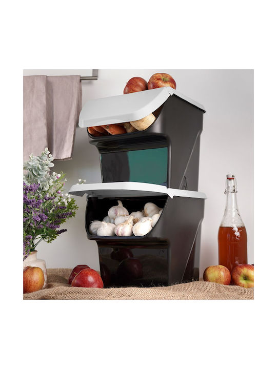 Vilde Set 2 Bucăți Cutii Utilizare Generală Cu Capac Plastic Gri 27.5x26x34cm