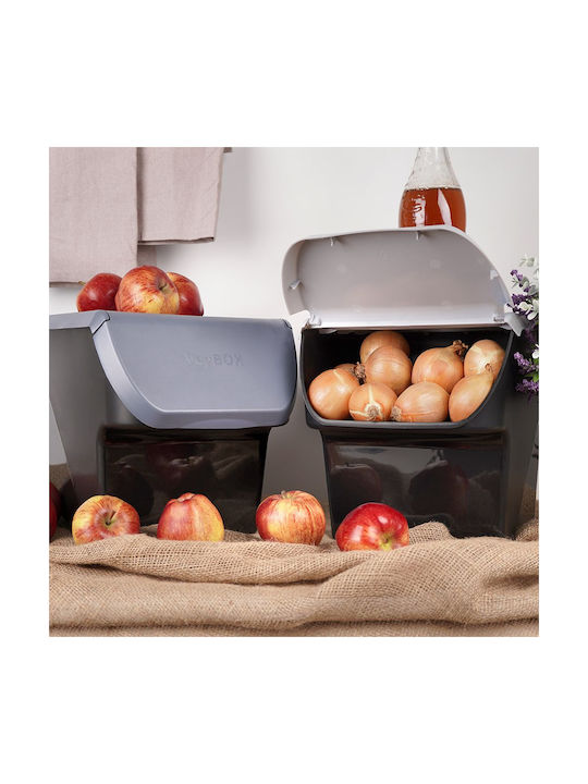 Vilde Комплект 2 Бройки Кутии За Обща Употреба С Капак Пластмасови Сиви 27.5x26x34см