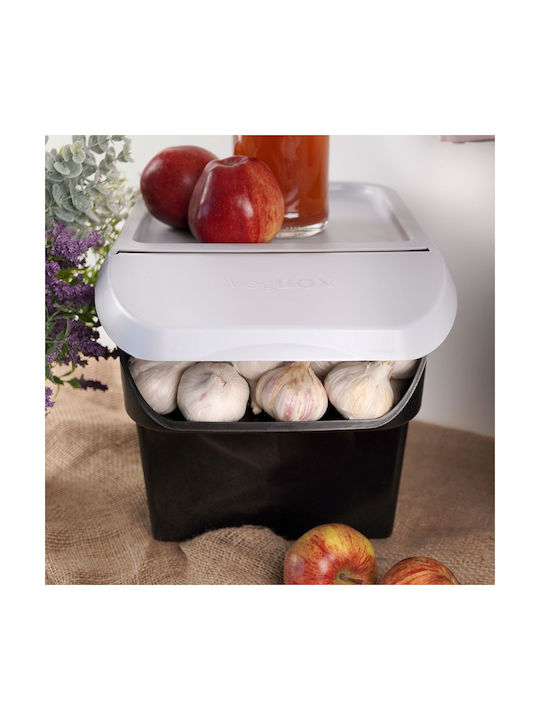Vilde Set 2 Bucăți Cutii Utilizare Generală Cu Capac Plastic Gri 27.5x26x34cm