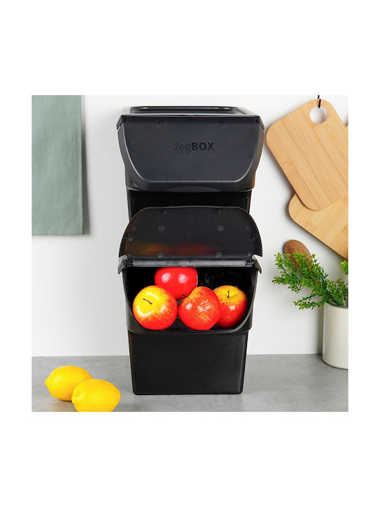 Vilde Set 2 Pieces General Use Boxes with Lid Plastic Black 2x26x34cm