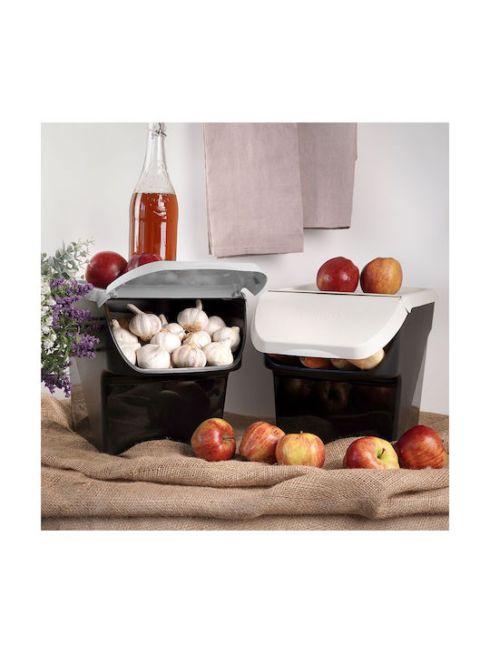 Vilde Set of 3 General Use Boxes with Gray Plastic Lid 27.5x26x34cm
