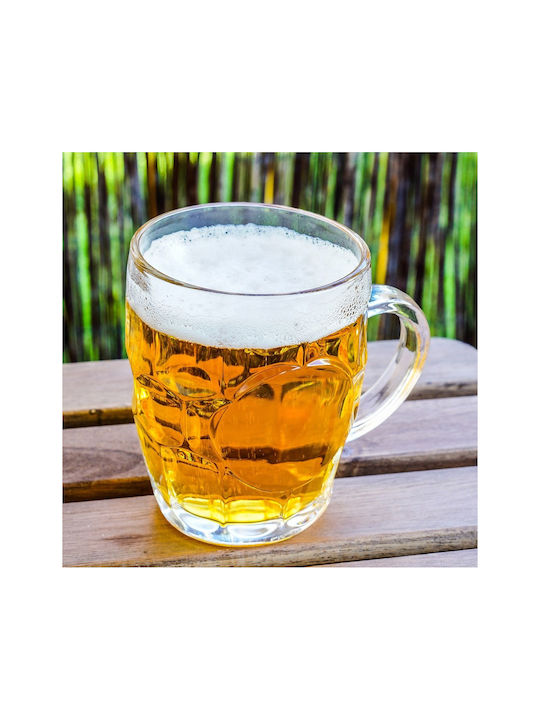 Orion Glass Beer Water Cocktail Drinking Glass 500ml