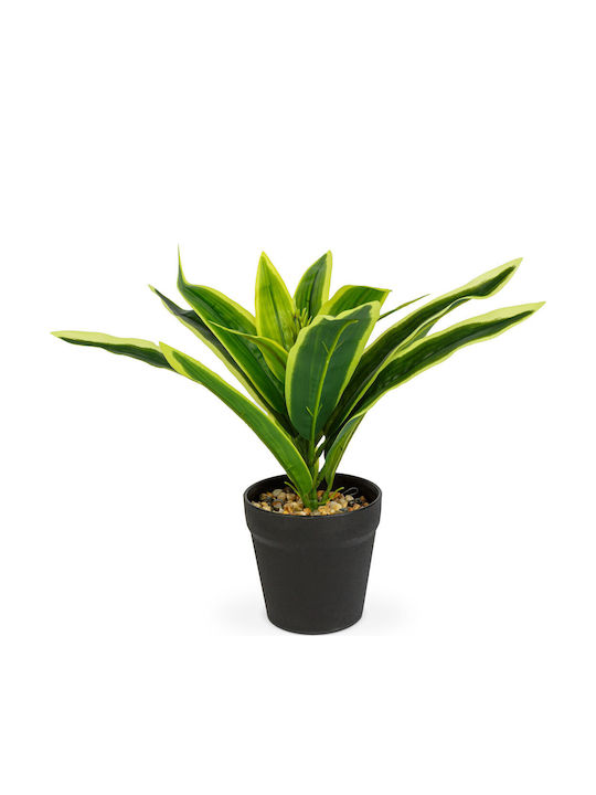 Alista Home Plastic Green Plant Pot 20x8.5cm
