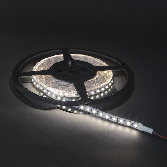 Alista Home Bandă LED 12V 5m cu Sursă de Alimentare