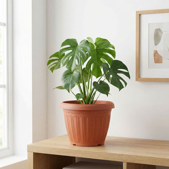 Ghiveci De Flori Din Plastic Culoare Teracotă Ø25 Cm Pentru Plante De Interior Și Exterior Ghiveci De Flori Din Plastic Culoare Teracotă Ø25 Cm Pentru Plante De Interior Și Exterior