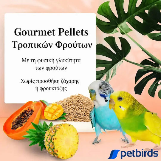Lafeber Tropical Fruit Gourmet Pellets Parakeet – Πέλλετς Φρούτων Παπαγαλάκια 567g