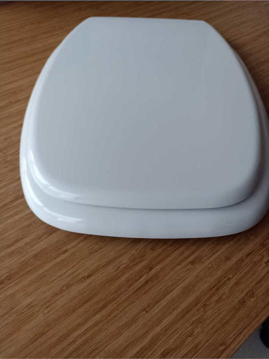 SteweHome Καπάκι Λεκάνης Πλαστικό 45x36cm Λευκό