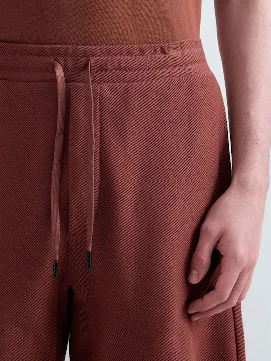 Sport Herren Shorts Braun