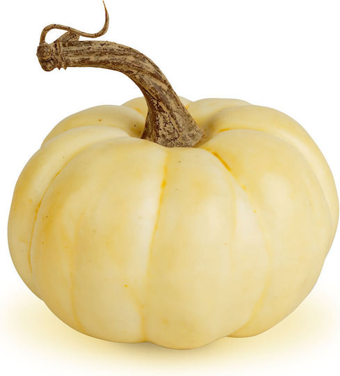 Autumn Pumpkin Decoration 10x8 Cm 6 Models Warm Colors Orange Red White