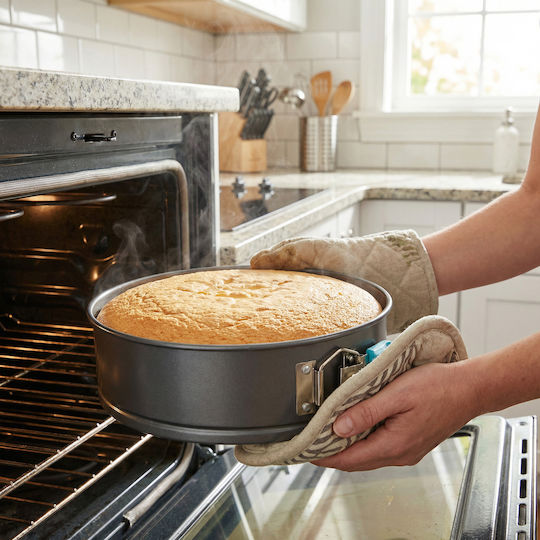 Alista Home Bakeware Tin For Cake Round Silicone With Removable Bottom 24x7cm