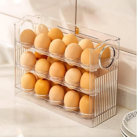 Alista Home Suport pentru Ouă Frigider 30 Ouă 20x26x10cm