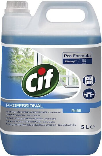 Alista Home Detergent Lichid Profesional pentru Geamuri cu Acțiune Dezinfectantă 5l