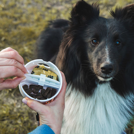 Petigio Futter-Schale für Hund Silikon