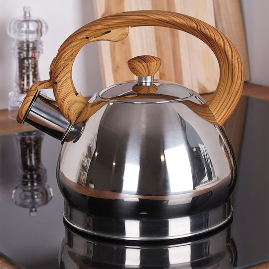 Orion Professional Water Kettle With Capacity 1.8lt