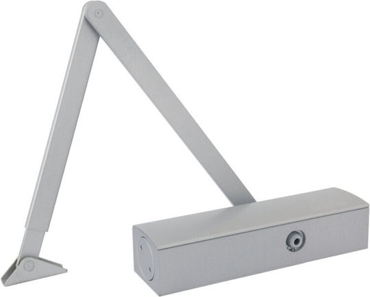 Lob Recessed Switch Mechanism