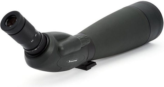 Celestron Scope