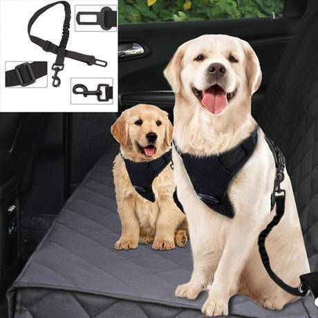 Wasserdichter Sitzbezug für Hunde Auto Reisezubehör Schwarz