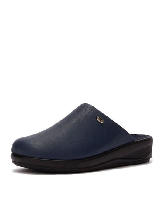 Scholl Scholl