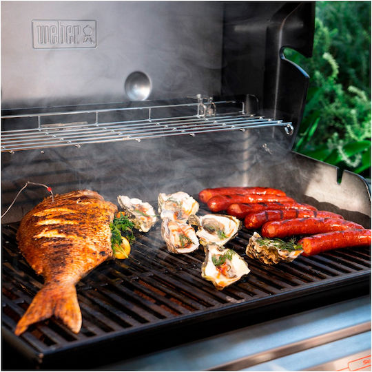 Weber 100gr