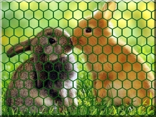 Hexagonal Green Fence Mesh 0.5m X 10m 13mm