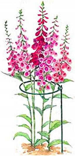 Round Plant Support 76cm Solid Support Flowers