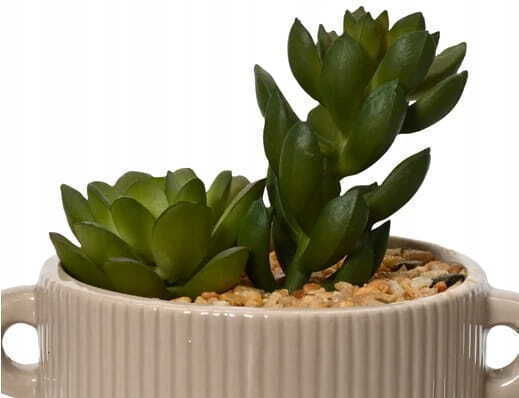 Cactus In A Decorative Pot Artificial Plant 13x13 Cm Cactus In A Decorative Pot Artificial Plant 13x13 Cm