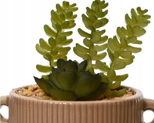 Cactus In A Decorative Pot Artificial Plant 13x13 Cm