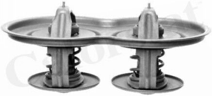 Thermostat Coolant Calorstat By Vernet Th7117.80j