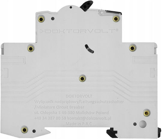 Doktorvolt Monopolischer Elektrische Schaltpaneel-Druckknopfschalter 10A