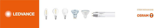 Eko Light Λάμπα LED 2.8W για Ντουί E27 Θερμό Λευκό 249lm