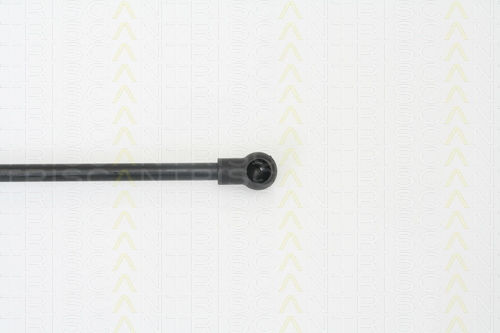 Triscan 8710 14242 Trunk Shock Absorber