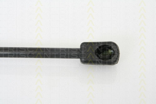Triscan 8710 29268 Trunk Shock Absorber