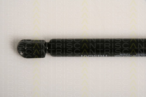 Triscan 8710 16253 Trunk Shock Absorber