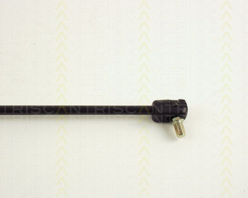 Triscan 8710 67202 Trunk Shock Absorber