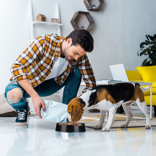 Relaxdays Bol de Mâncare pentru Câine 900ml 23.5cm în Culoare Neagră