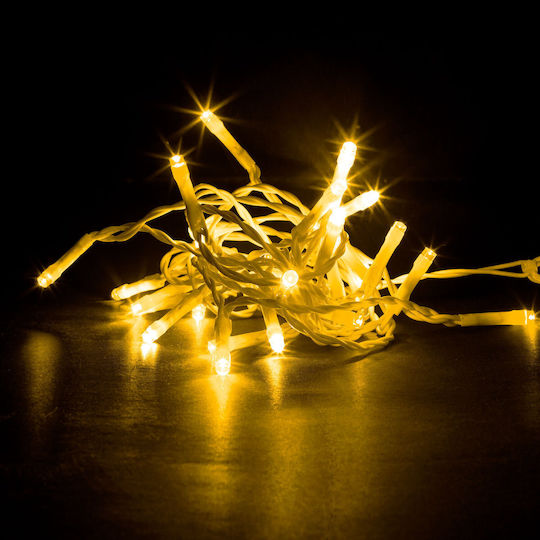 Λαμπάκια LED 5μ. Θερμό Λευκό σε Σειρά