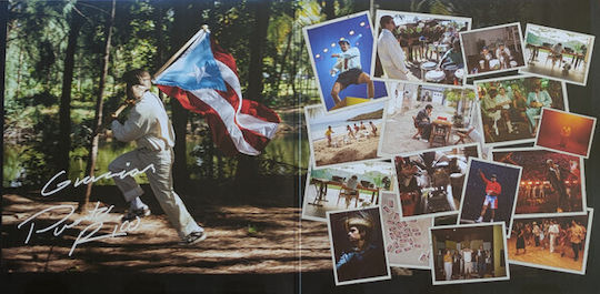 Bad Bunny Debí Tirar Más Fotos Vinyl