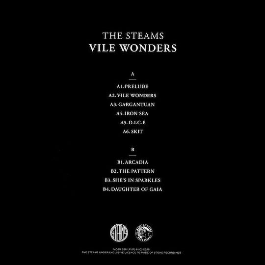 Steams Vile Wonders Vinyl