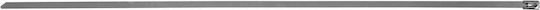 Zaci Kabelbinder Sta Nierd 4,6x350mm 100 Stück