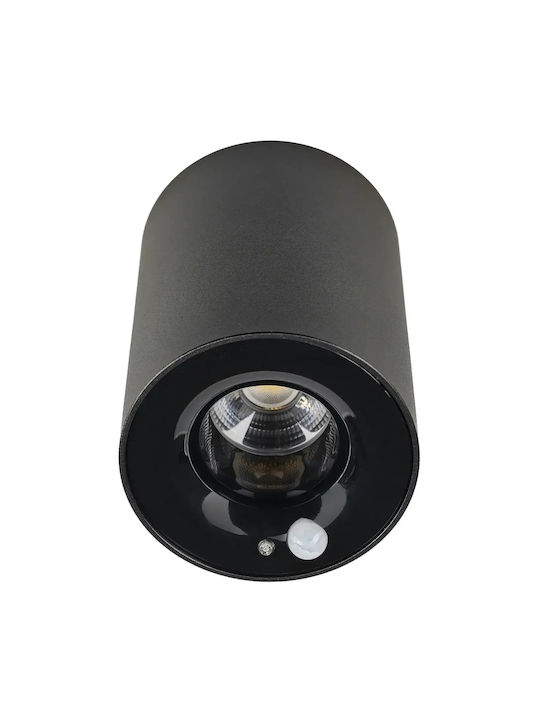 Ceiling Mount Light Black with Integrated LED